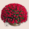 500 Rosas