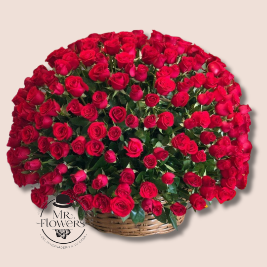 500 Rosas