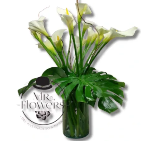 Arreglo con Alcatraz Fúnebre