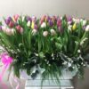 Arreglos floral con 100 Tulipanes Arreglos floral con 100 Tulipanes