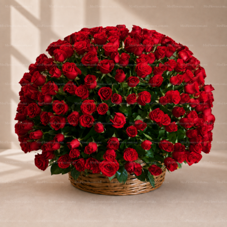 500 Rosas