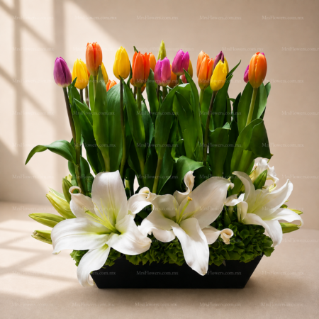 Arreglo Floral con 30 Tulipanes y Casablancas Arreglo Floral con 30 Tulipanes y Casablancas