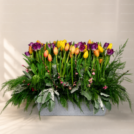 Arreglos floral con 100 Tulipanes Arreglos floral con 100 Tulipanes