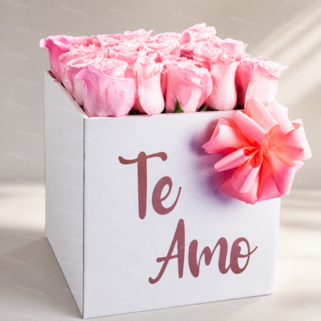 Caja con 24 rosas rosa