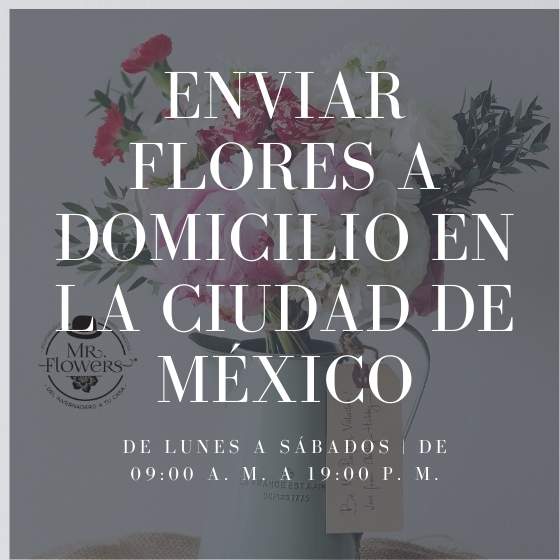 Enviar Flores a Domicilio en la Ciudad de México