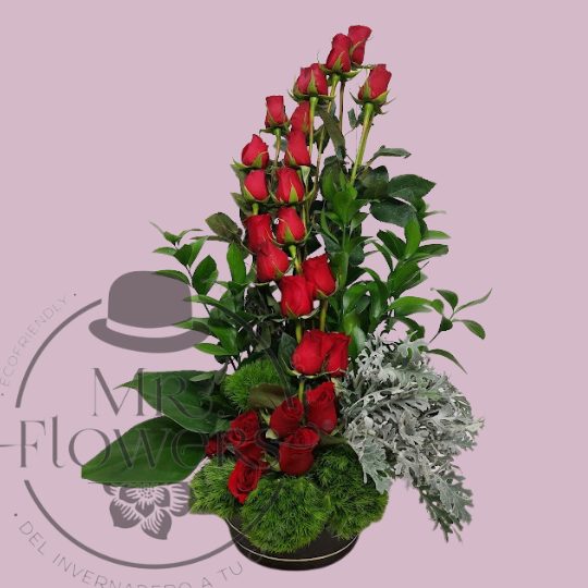 arreglo floral con 24 rosas S