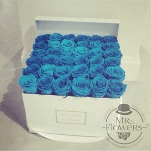 Caja con 36 Rosas Azules