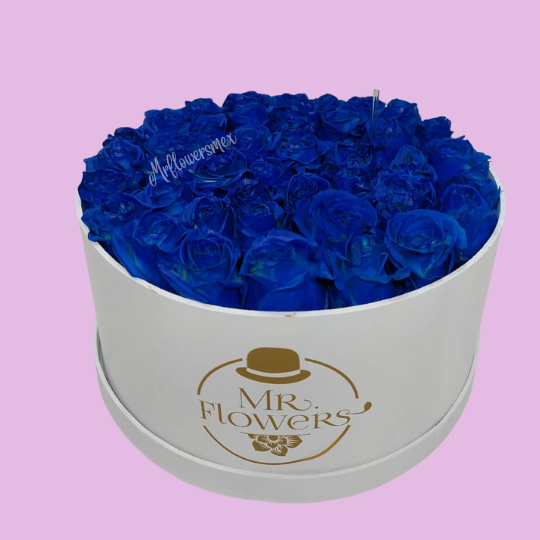 Caja con 50 Rosas Azules Caja con 50 Rosas Azules