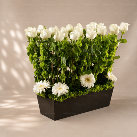 Caja con Rosas blancas