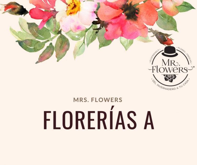 Florerías a