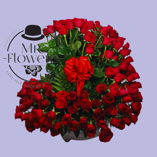 150 Rosas rojas en espiral 150 Rosas rojas en espiral