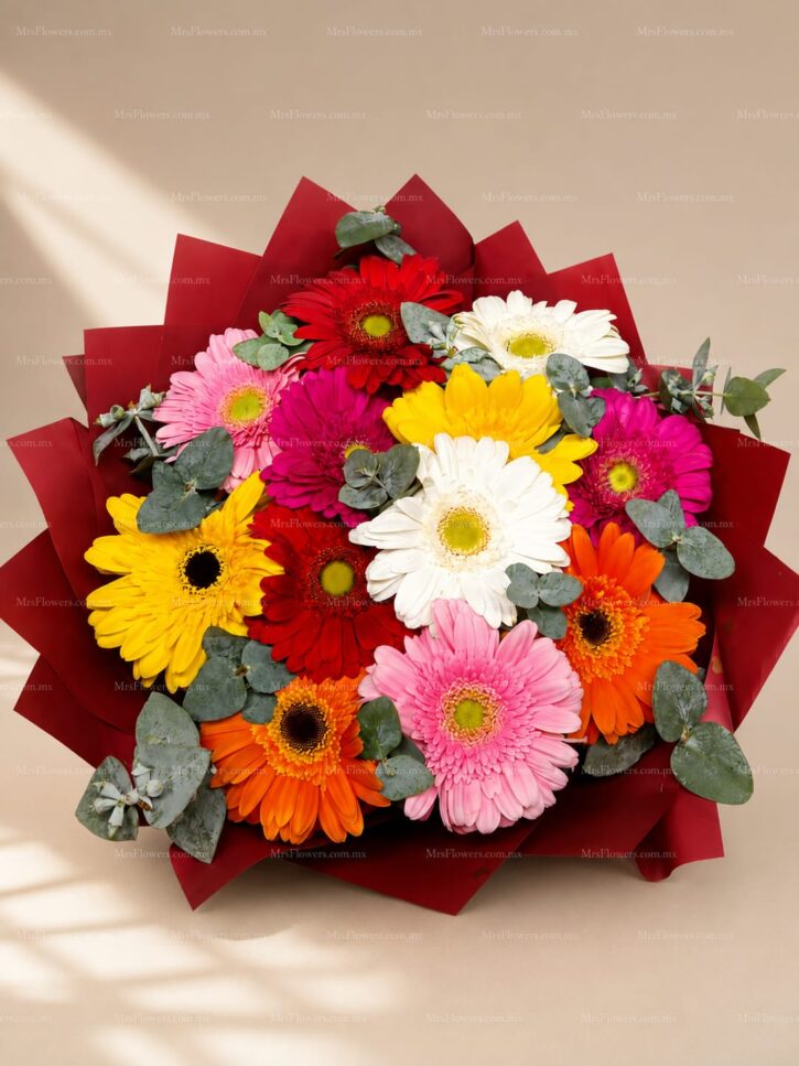 Ramo de 12 Gerberas Ramo de 12 Gerberas