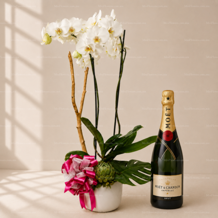 Orquídea & Champagne
