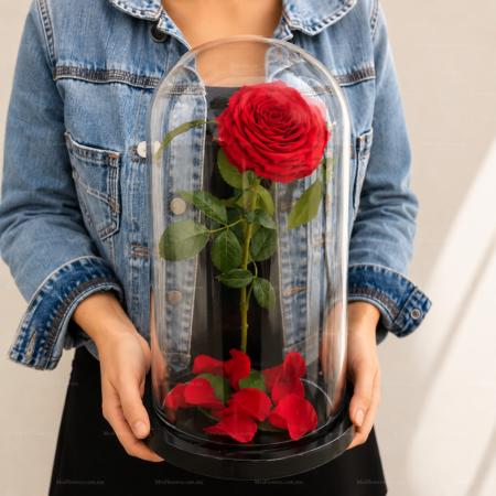 Rosa en Cristal de la Bella y la Bestia