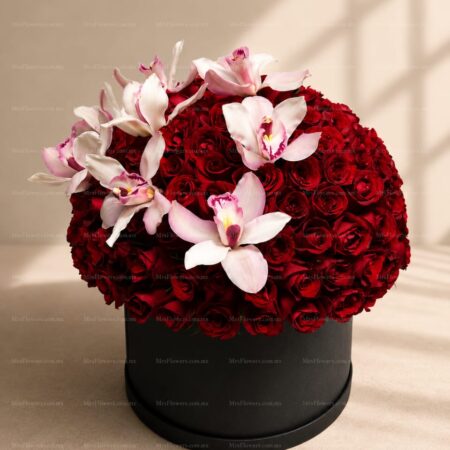 Caja de Rosas Rojas y Cymbidium