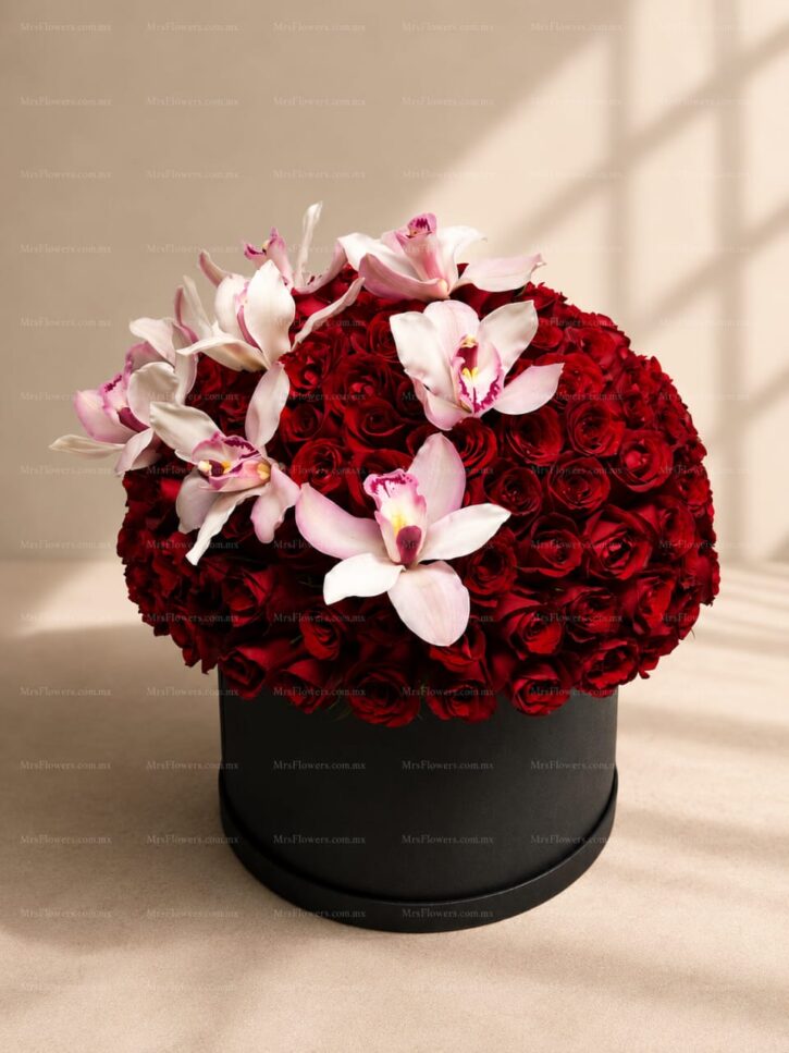 Caja de Rosas Rojas y Cymbidium Caja de Rosas Rojas y Cymbidium