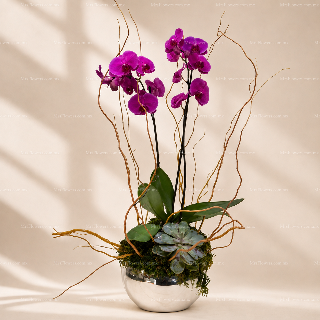 Orquídea Phalenopsis en Espejo Orquídea Phalenopsis en Espejo