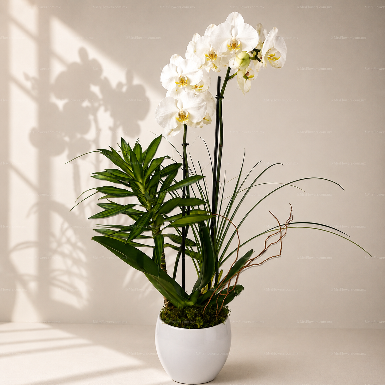 Arreglo Blanco Premium 9