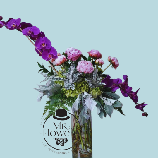 Peonias y Orquídea Peonias y Orquídea