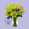 Tulipanes y Lilis