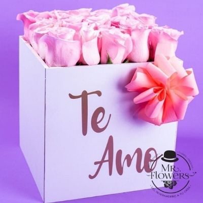 Caja con 24 rosas rosa