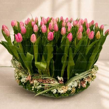 Arreglo de 70 Tulipanes Rosas en Base