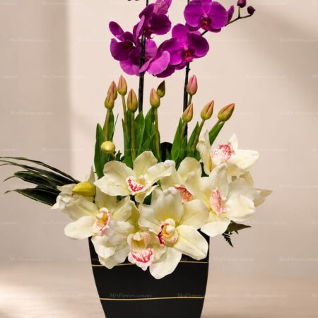 Arreglo Floral con Orquídeas y Tulipanes