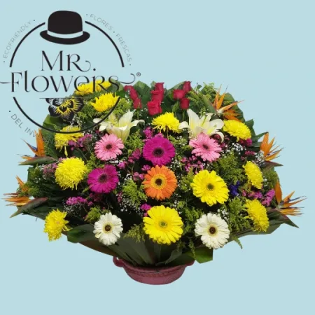 Arreglo Grande del Mercado de Jamaica