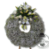 Corona Blanca con Gypso