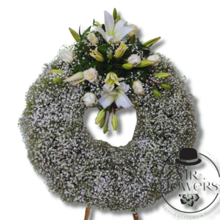 Corona Blanca con Gypso