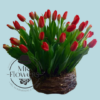 Nido con 40 Tulipanes Nido con 40 Tulipanes