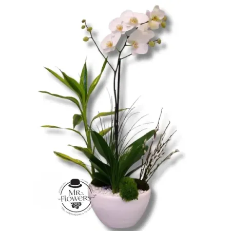 Arreglo Blanco Premium 9