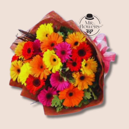 Ramo de 24 Gerberas