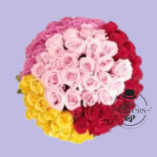 Arreglo con 100 Rosas 4 colores Arreglo con 100 Rosas 4 colores