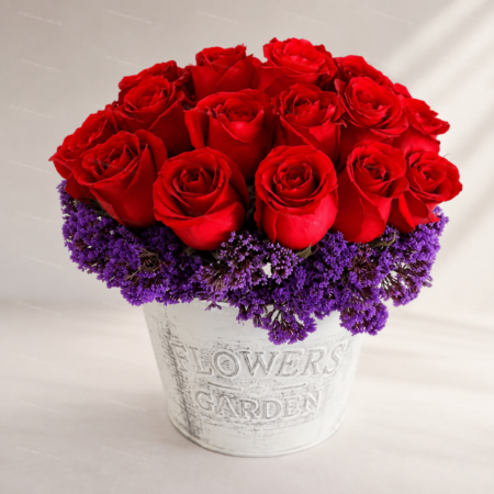 Maceta con 25 Rosas Rojas Maceta con 25 Rosas Rojas