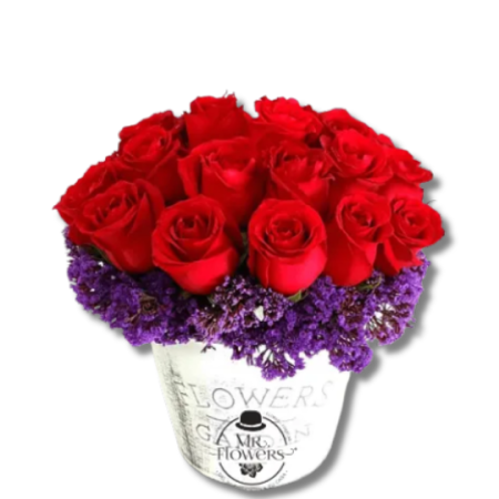 Maceta con 25 Rosas Rojas