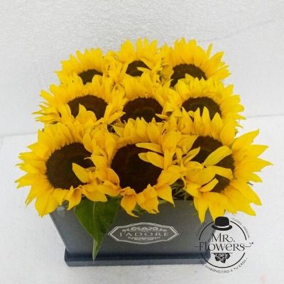 Caja con Girasoles