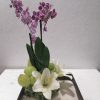 Flores y Regalos para Día de Muertos - Mrs. Flowers