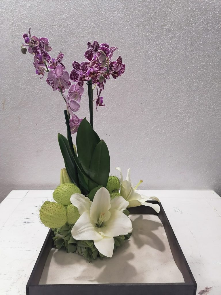Flores y Regalos para Día de Muertos - Mrs. Flowers