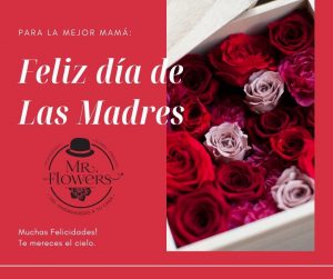 Día de las madres