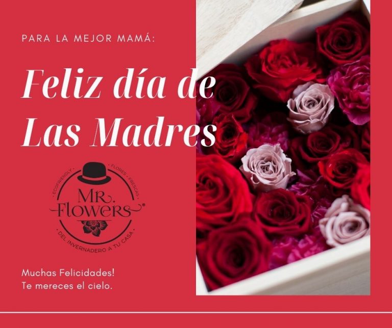 Día de Madres