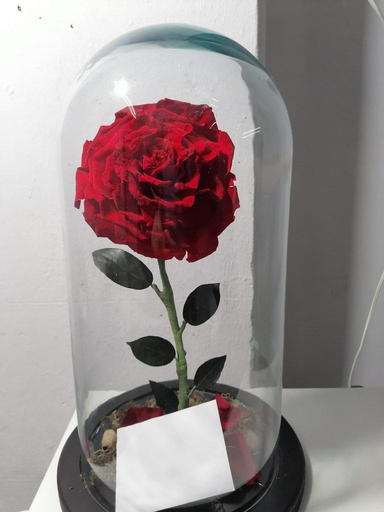Regalos para ocasiones especiales en Mrs. Flowers