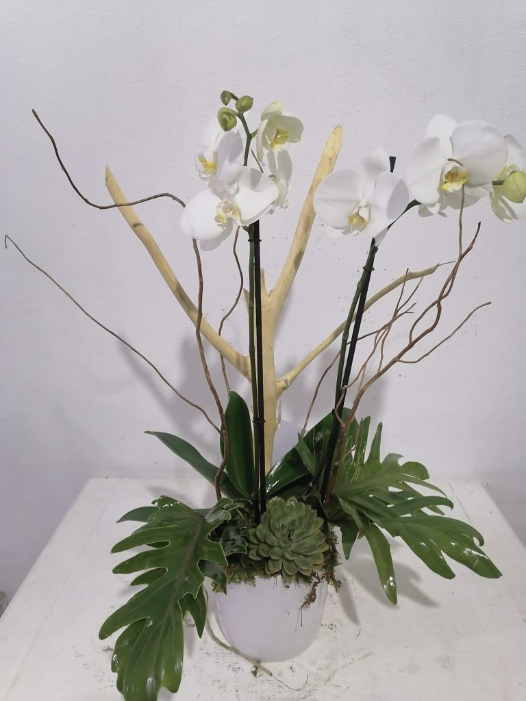 Thank You Flowers (Order Flowers Online) - Mrs. Flowers