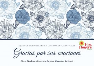 Funeraria Gayosso Mausoleos del Ángel