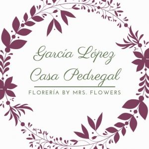 Garcia lopez casa pedregal