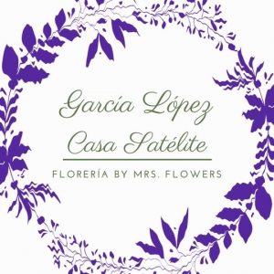 Garcia lopez casa satelite