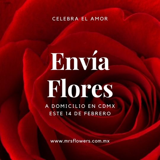 envia flores este 14 de febrero
