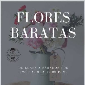 Flores Baratas