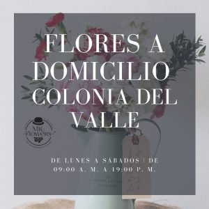 Flores a Domicilio Colonia del Valle