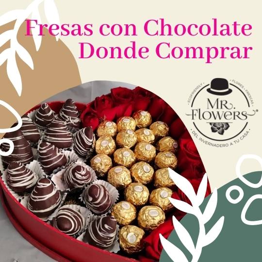 Fresas con Chocolate Donde Comprar